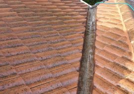 Gutter Cleaning Service